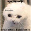 @sundram.saysss 17