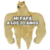 PERRO MUSCULOSO 🇦🇷 17