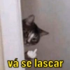 AS QUE ME REPRESENTAM  15