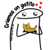 🌈Flork Mixteadito 2🧦 17