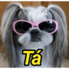 1° Lugar em memes 9