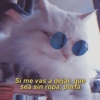 😎Shitpost Amor 4k❤️ 9