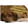 Triste 6