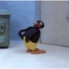 Pingu 7