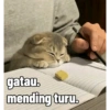 gatau.
mending turu.
