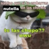 😎🔥 Memes pa' ligar 2 🔥😏🥵 15
