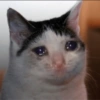 Gatitos tristes 5