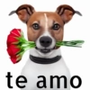 😎Shitpost Amor 4k❤️ 12
