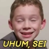 UHUM, SEI