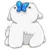 Cute dog 17