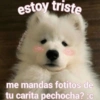 😎🔥 Memes pa' ligar 2 🔥😏🥵 19