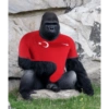 Goril 4 barisbruh_ 28