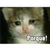 QUICONT Porque!