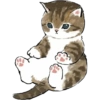 Gatitos 10