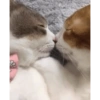 This could be us 8
