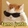Salva aí e usa com os amigos 13