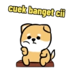 cuek banget cii
a