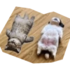 Perritos mal recortados 7