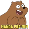 URSOS SEM CURSO 🐻🐻‍❄️🐼 9