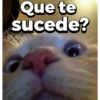 Que te
sucede?