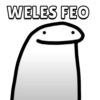 WELES FEO