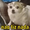 não fiz nada