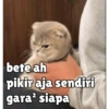 bete ah
pikir aja sendiri
gara² siapa