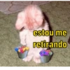 EXPLOSÃO DE SENTIMENTOS 7