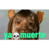 ya muerte