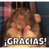 ¡GRACIAS!