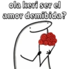 ola keri ser el
amor demibida?