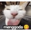 KUCING MEME 7
