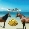 No pelien