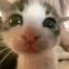 (-.-)Zzz・・・・ 26