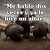 🧿Frases Migajeras🍞🐦 9