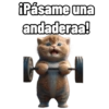 Gym animalitos MM2 🐇🐭🦧🏋 5