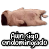 Aún sigo endomingado