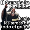 El Consejo ha Decidido Patric 6