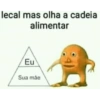 Laranjo 24