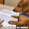 wides como faziam os maias