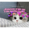Cute ♡ 10
