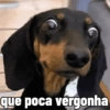que poca vergonha