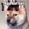 Apa liat liat
