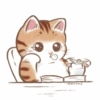 Kucing oyen 14