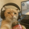 Gatitos apocalípticos 🙀 29
