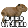 Carpinchos 18