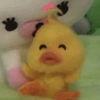 Bebek 27