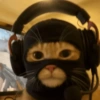 Gatitos apocalípticos 🙀 11