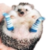 Animais fofinhos 11
