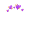 Patri 10